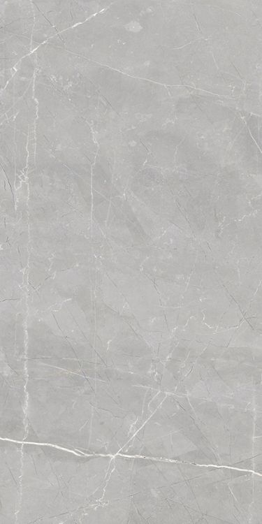 Luxury Amani Grey Matte 12 x 24